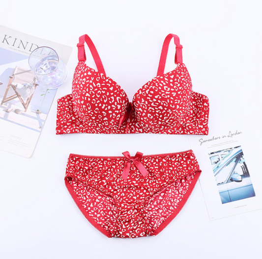 Women's UnderWired Full Cup Lace Multiway Bra with Matching Panty (Set of 6)